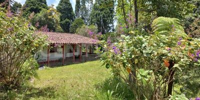 Venta Finca Campesina en Guarne condominio cerrado en la vereda hojas anchas tiene una casa campesina para remodelar a tu gusto ideal para los amantes de la naturaleza .Convierte este espacio en el lugar de tus sueños conjugando 3 puntos importantes : Ubicación privilegiada, Amplios terrenos, Oportunidad de personalizar tu hogar viviendo en un lugar lleno de armonía y paz.