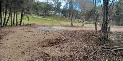 Vendo lote 100% plano ubicado en la via Don Diego - La Ceja, dentro de una parcelaciÃ³n en desarrollo, el terreno cuenta con un Ã¡rea de 1624 metros cuadrados completamente aprovechables, acceso pavimentado y porterÃ­a las 24 horas, cercano al casco urbano de La Ceja.