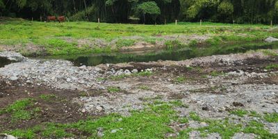 Finca 10 hectáreas – Calarcá (Quindío) con cabaña 45 m²

Entre montañas y guaduales, este predio ofrece silencios de campo y vistas largas al Paisaje Cultural Cafetero. La topografía combina lomos suaves y mesetas aprovechables; el suelo es generoso para aguacate, cacao, plátano o café de especialidad. Incluye una cabaña de 45 m² recién mantenida—lista para fines de semana, home-office rural o alojamiento de huéspedes—con área social integrada y terraza para disfrutar de los atardeceres. Acceso cómodo desde la vía principal, disponibilidad de agua en la zona y factibilidad de energía.