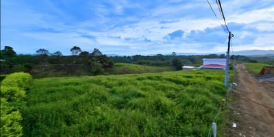 Oportunidad única en Morelia, Pereira: lote de 4.000 m² con agua y luz, a solo 20 minutos del centro y con vías de acceso que facilitan cada desplazamiento. Rodeado de naturaleza y absoluta tranquilidad, es ideal para glamping, una casa campestre o un hotel con encanto. El terreno invita a vivir experiencias al aire libre: quebrada perfecta para un baño refrescante, senderos ecológicos para caminar sin prisa y amplias zonas verdes para diseñar espacios de descanso y contemplación. Con las condiciones listas para construir, aquí la vida fluye al ritmo de la naturaleza. No dejes pasar esta oportunidad y hazlo tuyo: agenda tu visita. Codigo: 857-7416

