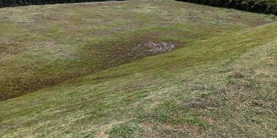 ¡Oportunidad Única en Gómez Plata! 

Se vende lote de 2.064 m² ubicado en la vía hacia Carolina, a solo 3 minutos del parque principal de Gómez Plata.
Perfecto para construir la casa de tus sueños o desarrollar un proyecto campestre. 

 Pozo séptico instalado
 Ubicación estratégica: sobre carretera hacia Carolina
 Zona tranquila y de alta valorización

 Precio: $350.000.000 COP

 Contáctame para más información o agendar visita. ¡No dejes pasar esta oportunidad!