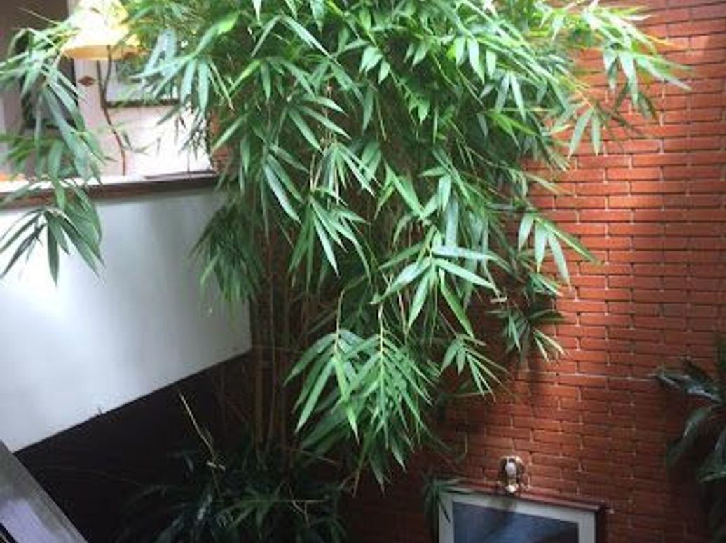 Casa de 4 alcobas en venta en Santa Barbara, Bogotá, 280 m² · foto 11 de 17