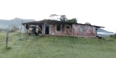 VENDO FINCA GANADERA EN GUADUAS VEREDA NONTAÑA NEGRA, la finca tiene 140 hectáreas, esta ubicada en la vereda Montaña negra, entre las vías de la autopista a Medellín y la ruta del Sol, a 20 minutos de Guaduas vía la Dorada o la vía a Honda, la finca tiene dos casas en material una recién construida, con parqueadero cubierto, 5 habitaciones, 1 baño, cocina integral, sala comedor, con agua y energía, la otra casa con 5 habitaciones, cocina de leña, baño, patio, corredor. también tiene una casa en madera recién construida, con 2 habitaciones un baño cocina, la finca tiene excelentes pastos, el terreno es ondulado, tiene corrales, se puede aprovechar el 90% de la finca para ganadería, tiene dos lagos con aguas veraneras, tiene dos nacimientos de agua lo que le permite tener agua durante todo el año, linda con el rio Cambras, cuenta con corrales para el ganado, lo mejor de esta finca es que se encuentra en todo el centro del país, cerca a La Dorada, el sector es muy seguro, excelente señal de telefonía claro, esta a 420 metros sobre el nivel del mar.