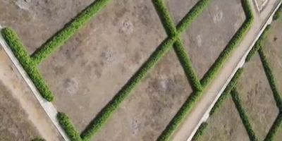 Lotes de 1000m2 Ubicado cerca ala reconocida finca El Uberrimo Te presentamos una excelente oportunidad para adquirir lotes amplios de 1,000 metros cuadrados, ideales para construir la casa de tus suenos, un proyecto campestre o invertir en una zona con gran proyeccion de crecimiento, cuenta con los servicios de luz agua y gas.