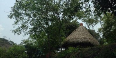 DOS FINCAS UBICADAS EN LA ZONA RURAL DE MAYOR DESARROLLO Y VALORIZACION VEREDA LA VEGA, VIA ANAPOIMA-APULO. LINDEROS: CON EL RIO APULO  RIO DE AGUAS LIMPIAS Y LA CARRETERA VEREDAL PRINCIPAL. TIENE RED DE ACUEDUCTO (DERECHOS CANCELADOS) Y RED DE ENERGIA. CASA PRINCIPAL 150 METROS CONSTRUIDA 4 ALCOBAS DOS CON BAÑO, BAÑO DE ALCOBAS, TERRAZA, CORREDORES, DEPOSITO. CASA DE ADMINISTRADORES cuarenta METROS DOS HABITACIONES, BAÑO Y COCINA. ARBOLES FRUTALES. GISELA PEÑARANDA