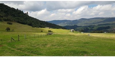 Vendemos Lote en La Calera a 10 minutos del parque por vía pavimentada hasta la vereda El Rodeo, tiene área de 24.651 m2 en lomas amenas, esta totamente cercado, tiene hermosa vista a la laguna de San Rafael que surte el agua a parte Bogotá, 

Dimensiones: Por el norte, en 76 metros sobre la vía pública que conduce a Pueblo Nuevo Norte, oriente en357 metros con predio vecino, sur en 31 metros con bosque nativo y por el
occidente en 380 metros con predio vecino. Para desarrollo inmobiliario tiene indice de ocupación del 10% del terreno y de construcción 15% yen  maxímo 4 pisos. Para vivienda unifamiliar 4 lotes por hectarea, se debe ceder el 20% al municipio de La Calera, del área neta desarrollable.

Tiene planos, perfecta tradición y todos los impuestos al día.

 

 
