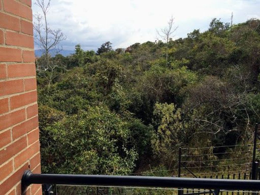 Apartamento de 3 alcobas en venta en San José De Bavaria, Bogotá, 172 m² · foto 12 de 20