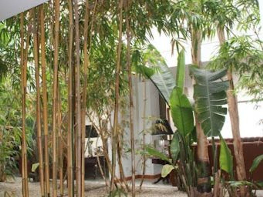 Casa de 3 alcobas en venta en Santa Ana Occidental, Bogotá, 550 m² · foto 11 de 13