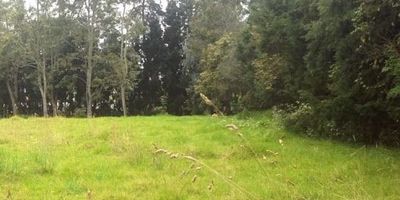 Excelente Lote en la avenida guaymaral camino al rió frió, uso permitido comercio clase 1. Institucional, zona de vivienda comercial, sin estratificación, cerca a colegios.