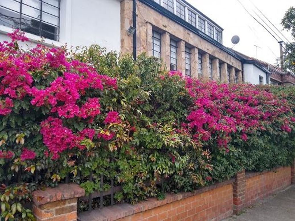 Casa de 11 alcobas en venta en Galerías, Bogotá, 450 m² · foto 10 de 20