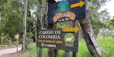 Codigo 900. CASA DE 1 NIVEL, COCINA INEGRAL CON HORNO Y CAMPANA, GAS CILINDRO (2 CILINDROS DE 100 LIBRAS), ACUEDUCTO PROPIO POR PERFORACIÓN, 1 ACUEDUCTO ADICIONAL QUE ES DEL CONJUNTO, AGUA PERMANENTE CON TANQUE DE 5000 LITROS Y 2 TANQUES EXTRAS DE 5000 LITROS Y UNO PEQUEÑO. SE DEJA TODA VENTA A PUERTA CERRADA, DE LA ENTRADA A LA PARCELA SON 1,6 KM CARRETERA DESTAPADA.CONJUNTO CON ZONA SOCIAL, CUENTA CON PISCINA PARA ADULTOS Y PARA NIÑOS, CANCHA DE MICRO FUTBOLL Y BASKETBOLL, TEJO, BOLO CRIOLLO, MESA DE BILLAR, MESA DE PIN PONG, JUEGO DE RANAS, SALON SOCIAL. LA PARCELA CUENTA CON ARBOLES FRUTALES DE NARANJAS Y MANDARINAS, AGUACATES, PLATANOS, BANANOS Y GUAYABAS, TAMBIEN CUNETA CON SAUNA, JACUZZI Y ORATORIO PEQUEÑO.