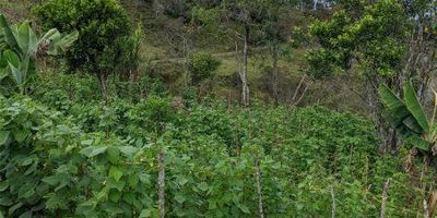 Vende Integridad, inmobiliaria experta en administración y arrendamientos de apartamentos, casas, locales, bodegas y oficinas, Medellín y toda el área Metropolitana.