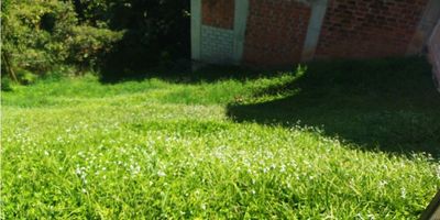 Venta de amplio Lote esquinero en Sabaneta sector Aevs María unidad cerrada con piscina, salón, portería 24 hrs. A pocos minutos de la Av Poblado, Av Vegas. Dispone de un área privada de 221.65 mts 2. Es posible gestionar licencia para construcción de Sotano + 2 plantas + Manzarda.


"Su calidad de vida es nuestra razón de ser"
