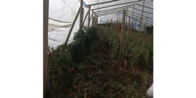 Venta de Hermoso terreno rural con 50.000 mt2 aproximadamente (5 hectáreas), con fuente de agua natural, tiene una construcción sencilla con baño. Excelente inversión para parcelar o lotear; en la actualidad tiene cultivos e invernaderos. Con hermosos paisajes, vista panorámica 360 y excelente vecindario agricultor.

 

"Su calidad de vida es nuestra razón de ser"

 
