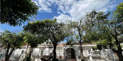Te presentamos esta acogedora y espaciosa casa en arriendo ubicada en el corazón del tradicional barrio Lleras Restrepo en Cúcuta. Cuenta con 4 amplias y confortables habitaciones, cada una con baño privado, para brindar la mayor comodidad a ti y a tu familia o para tu empresa ya que esta ubicada en una zona muy comercial. espacios de entretenimiento y zonas verdes. Con capacidad de parqueadero para 2 vehículos, es ideal para profesionales o familias que buscan tranquilidad y comodidad cerca al bullicio de la ciudad.  

Estamos seguros que esta casa se convertirá en ese rincón perfecto para tu negocio o tu hogar. Contáctanos para coordinar una visita y enamorarte de todos sus detalles. - 25-1791