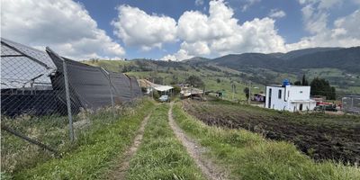 Finca Productora de Arándanos en Venta - Zipaquirá

Área total: 6.400 m²
Ubicada a tan solo 30 minutos del centro de Zipaquirá, esta finca es una excelente oportunidad para quienes buscan invertir en producción agrícola y disfrutar de la tranquilidad del campo.

Infraestructura y Cultivos
Dos invernaderos equipados para el cultivo de arándanos:
Sistema de riego Pisos con cubresuelos para un manejo eficiente y sostenible.
Cultivos adicionales que complementan la producción agrícola.
Reservorio de agua y una quebrada que atraviesa la propiedad, garantizando una fuente constante y natural para riego y consumo.
Galpón de gallinas, ideal para diversificar la actividad productiva.
Edificaciones y Espacios
Casa principal:
5 habitaciones amplias y acogedoras.
2 baños funcionales.
Ideal para vivienda familiar o para el personal de la finca.
Dos bodegas (20 x 4 m):
Espacios ideales para almacenamiento de herramientas, insumos agrícolas o productos cosechados.
Camino interno, que facilita el acceso a todas las áreas de la finca.
Ubicación
Esta finca combina una ubicación estratégica cercana a Zipaquirá con la serenidad del entorno natural, siendo perfecta para la producción agrícola, la vida en el campo o incluso como proyecto turístico agroecológico.

¡Una propiedad lista para producir y disfrutar! Contáctanos para más información. - 25-1630