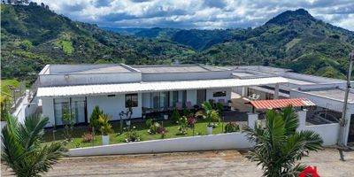 -Distribución:
Sala-comedor
Cocina integral 
5 habitaciones con clóset (2 principales con baño)
Baño social
Zona de ropas

+Terraza con espectacular vista a la naturaleza
+Jardín 

-El condominio cuenta con portería y vigilancia 
-Parqueadero para 4 carros (2 cubiertos)
-Ubicación privilegiada en sector de alta valorización a tan solo 4 minutos de la vía principal y 10 minutos de Pereira (2 accesos, uno por la vía hacia Frailes y otro por la vía hacia La Florida)
-Contrato minimo a 1 año
