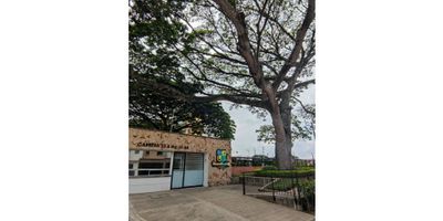 ¡Venta de Apartamento en Conjunto Residencial Reserva Verde, Palmira!

Ubicación: Conjunto Residencial Reserva Verde, Barrio Mercedes, Palmira

Descripción de la propiedad:


 Piso: 7º piso con vistas espectaculares hacia el norte.
 Habitaciones: 3 cuartos bien iluminados y con amplios espacios.
 Baños: 2 baños modernos y funcionales.
 Balcón: Disfruta de momentos al aire libre con una vista panorámica.
 Garaje en el Sótano: Espacio seguro y conveniente para tu vehículo.
 Piscina: Relájate y disfruta de los días soleados en la piscina del conjunto.
 Ascensor: Acceso rápido y cómodo a tu apartamento.


Ubicación Conveniente:


 Cercanías: A pocos pasos del supermercado Metro, Olímpica y otras comodidades, facilitando tu día a día.
 
 
 MARIA E 
 CONEXION

