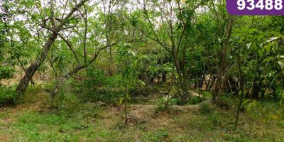 Se vende lote (finca) en el municipio de Galapa, ubicado a minutos de  zona franca zofia del atlántico, este lote ofrece soluciones ajustadas a las necesidades de las empresas del comercio exterior y es un punto estratégico para conquistar los mercados nacionales e internacionales, cuenta con un área de 17.000 mt2, de fácil acceso y transporte, cerca de importantes parques industriales y complejos empresariales, estaciones de servicios, bodegas de grandes empresas y una alta actividad comercial e industrial.