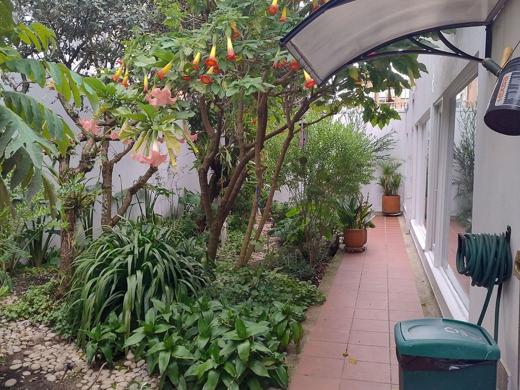 Casa de 6 alcobas en venta en Cjr Balzares, Bogotá, 460 m² · foto 13 de 20