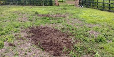 Lote en Venta, Piedecuesta, Mesa de los Santos. Área lote: 31.85 mts, Área Privada 31.85 mts Código inmobiliaria: 36993, para mayor información y revisar toda nuestra oferta visita nuestra pagina web: estebanrios.com o comuníquese a nuestro PBX: (607) 635 2877