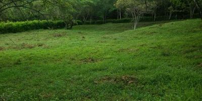 Descubre la oportunidad de adquirir  este lote con un área de 2 fanegadas, alumbrado publico, linea de internet, uso vivienda campestre, con agua las 24 horas,  en un entorno natural  con lago.  Este  se encuentra ubicado en un  exclusivo sector a 600 mts  antes  del  club mesa de yeguas, sobre la vía pavimentada,  limita  con el conjunto campestre Kubicawa. Disfruta de la tranquilidad y la belleza de un lago de agua natural en la propiedad. Con transporte público cercano, y la posibilidad de camping, este espacio en área rural ofrece cómodas vías de acceso para tu comodidad. Vive la experiencia de conectar con la naturaleza en este lugar único y  cerca de todo por comodidad y facilidad.