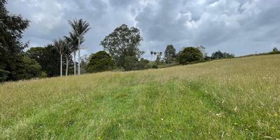 Lote de 6.901 metros ubicado en parcelacion en el Alto de Las Palmas. Se encuentra en el lote numero 21 y ofrece un entorno exclusivo, rodeado de naturaleza y con excelente proyeccion de valorizacion. La administracion tiene un costo de un millon cuatrocientos mil pesos. El valor de venta es de dos mil novecientos millones de pesos.