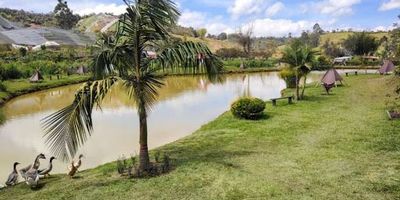 Eco-Hotel en Arriendo  20.000 m en Santuario  Carmen de Viboral Vereda Aldana.  Una oportunidad única para invertir en turismo sostenible, rodeado de naturaleza y con amplias posibilidades de expansión.    Descubra este eco-hotel de 20.000 metros cuadrados, estratégicamente ubicado en la vía que conecta Santuario con El Carmen de Viboral, en la tranquila y hermosa Vereda Aldana.   Perfecto para proyectos turísticos, de bienestar, eventos o retiros. Infraestructura existente.  El hotel está completamente listo para operar y cuenta con  Cuatro cabañas totalmente equipadas, ideales para alojamiento inmediato. Una cabaña premium con jacuzzi privado.  Baño en cada habitación, garantizando comodidad y privacidad para los huéspedes. Baños públicos independientes para damas y caballeros.  Espacios naturales amplios, senderos y zonas verdes. Potencial de expansión.  La propiedad permite el desarrollo de nuevas soluciones ocupacionales, lo que abre la puerta para  Más cabañas o glampin. 