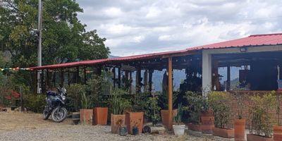 Venta o Permuta de Lote con Restaurante en Machetá, Cundinamarca.
Ofrecemos un predio ubicado a borde de carretera en Macheta, Cundinamarca, con una extensión de 1.538 m², a solo 1 km del pueblo. Se encuentra en la Vía Guateque Macanal, una ruta turística hacia el llano. Características del Inmueble: Restaurante: Actualmente en funcionamiento, especializado en comida a leña como parrilladas, hamburguesas y lasañas. Casa en Obra Gris: Dimensiones de 12 x 9 metros. Parqueadero: Capacidad para 15 vehículos. Uso de Suelo: Rural comercial. Capacidad y Potencial. Capacidad Actual: Espacio para 30 comensales.
Potencial de Expansión: Amplio espacio disponible para aumentar la capacidad.
Precio: Sin Restaurante: $450 millones.
Con Restaurante: $500 millones.
Opciones de Permuta: Se acepta permuta de camioneta más efectivo.