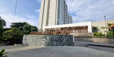 Colinas de El Mameyal es un proyecto de apartamentos estrato 5 ubicado en el sector de Bellavista al Oeste de la ciudad sobre la vía a Cristo Rey  en uno de los sectores más exclusivos de Cali. Su ubicación le permite contar con fácil acceso vehicular y peatonal (cercanía a otras vías principales y paradas del SITM) y a servicios complementarios (colegios, supermercados, zonas recreativas, sitios de interés cultural).
 
El proyecto está rodeado de generosas zonas verdes, la vegetación y la fauna que caracterizan este sector de la ciudad, tiene un microclima ideal al gozar de los vientos de los cerros noroccidentales y su principal atractivo es sin duda, la exclusiva vista que tiene sobre la ciudad.