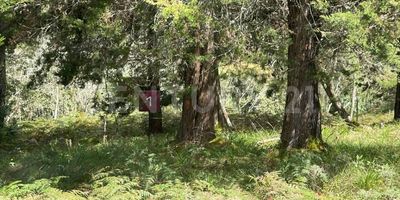 Construye la vida que sueñas en un entorno natural sin renunciar a la comodidad. Este exclusivo lote de 552 metros aproximadamente te ofrece la oportunidad perfecta para desarrollar una casa hasta de dos niveles, con el privilegio de estar rodeado de bosque nativo, aire puro y un ambiente tranquilo que se siente como un refugio privado. Ubicado en un proyecto consolidado, con portería 24/7, que ya alcanzo su punto de equilibrio, podrás iniciar construcción de inmediato y garantizar tu inversión en un entorno seguro y organizado . Además, estarás estratégicamente situado antes dl peaje, con acceso rápido a colegios, universidades, centros comerciales y servicios esenciales, haciendo de este lote una opción ideal tanto para vivir como para invertir. Naturaleza, ubicación y proyección en un solo lugar. Haz realidad tu proyecto de vivienda en las zonas con mayor valorización de la región. Te gustaría conocerlo, llámame