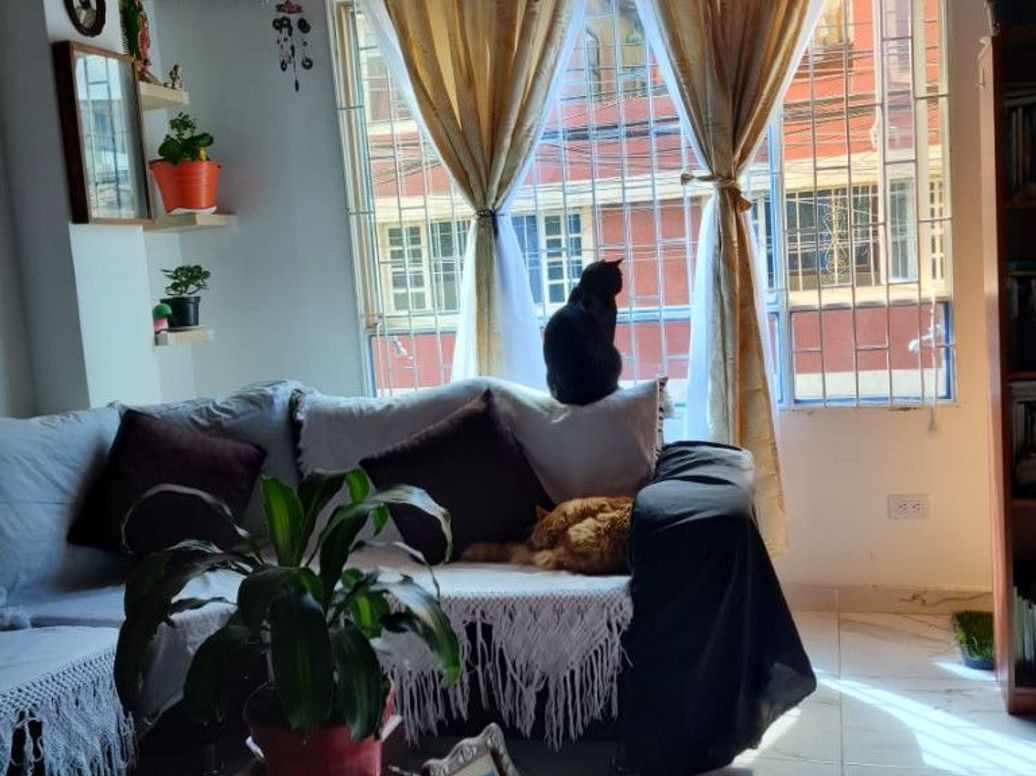 Apartamento de 2 alcobas en venta en Los Puentes, Bogotá, 49 m² · foto 5 de 11