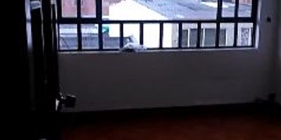 Se vende inmueble ubicado en el barrio Santa Matilde. Corresponde a un tercer piso completo que cuenta con dos apartamentos de igual distribución, cada uno con dos habitaciones, cocina básica, sala-comedor, baño, zona de lavandería y hall remodelado para estrenar. Además, el inmueble cuenta con garaje. Es una excelente oportunidad para inversión o vivienda familiar.