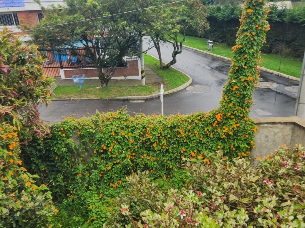 Casa de 4 alcobas en venta en Niza, Bogotá, 450 m² · foto 12 de 13