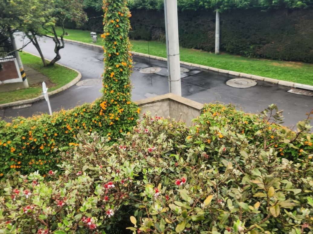 Casa de 4 alcobas en venta en Niza, Bogotá, 450 m² · foto 10 de 13