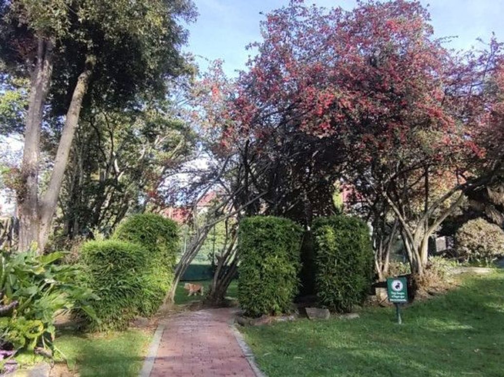 Apartamento de 4 alcobas en venta en Casa Blanca Suba, Bogotá, 266 m² · foto 11 de 20