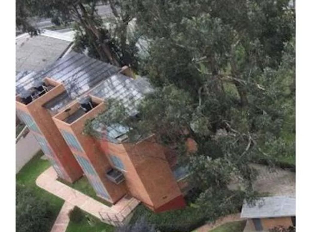 Casa de 2 alcobas en arriendo en Chapinero Alto, Bogotá, 192 m² · foto 13 de 20