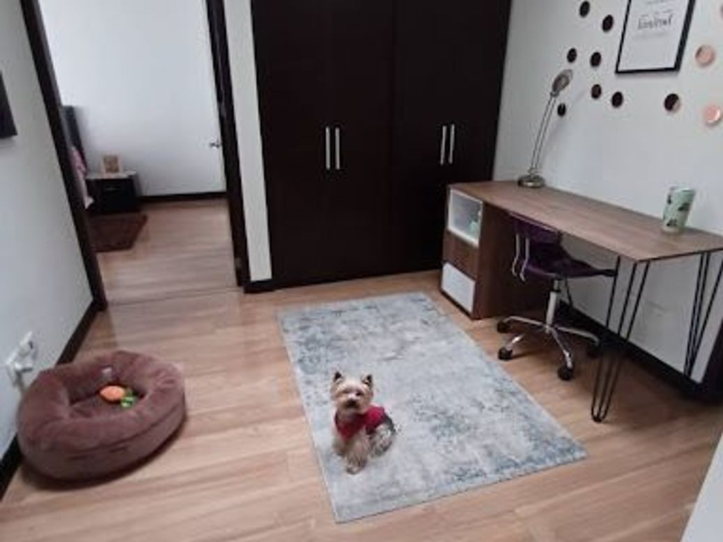 Apartamento de 3 alcobas en venta en La Carolina, Bogotá, 111 m² · foto 9 de 18