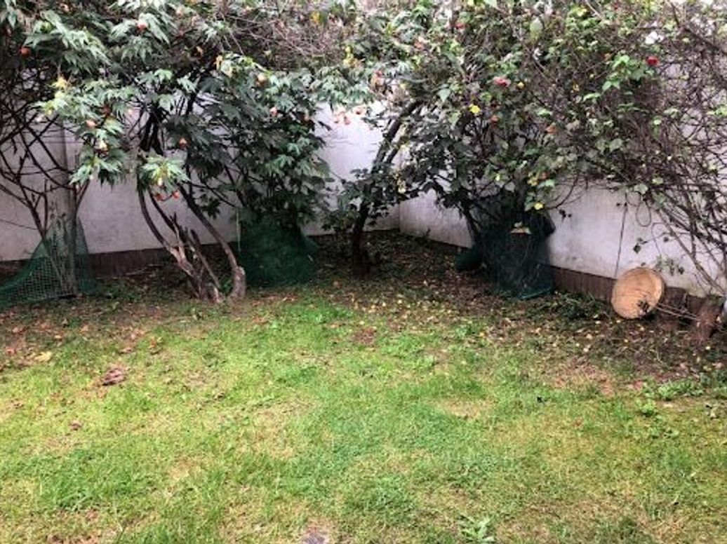 Casa de 4 alcobas en venta en Cedritos, Bogotá, 310 m² · foto 15 de 18