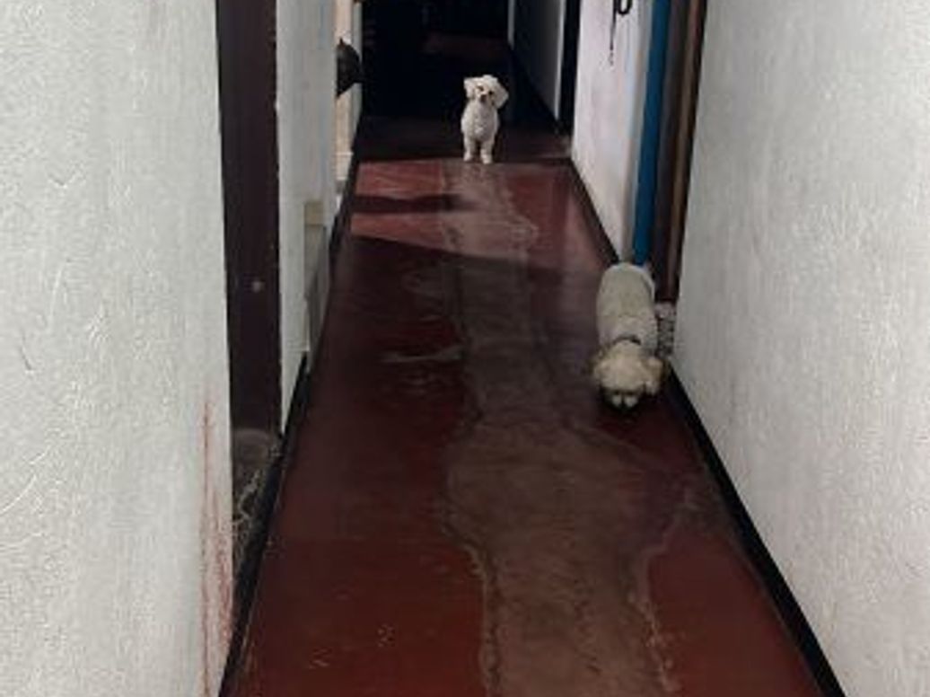 Casa de 4 alcobas en venta en Santa Librada, Bogotá, 120 m² · foto 2 de 20