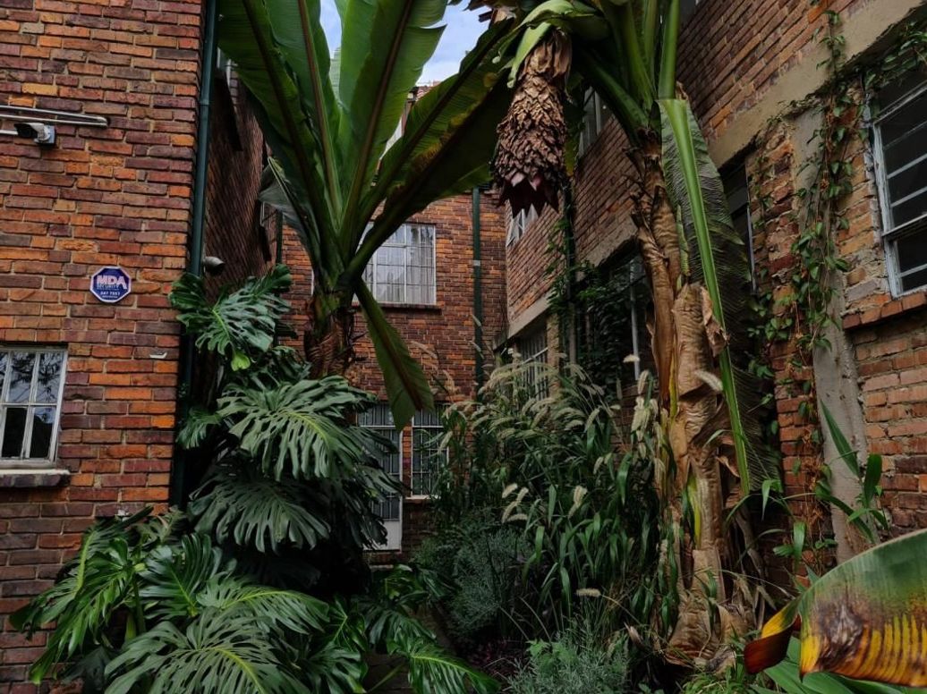 Casa de 6 alcobas en venta en Quinta Camacho, Bogotá, 690 m² · foto 8 de 20