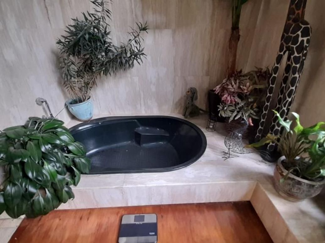 Casa de 3 alcobas en venta en Casa Blanca Suba, Bogotá, 634 m² · foto 14 de 20