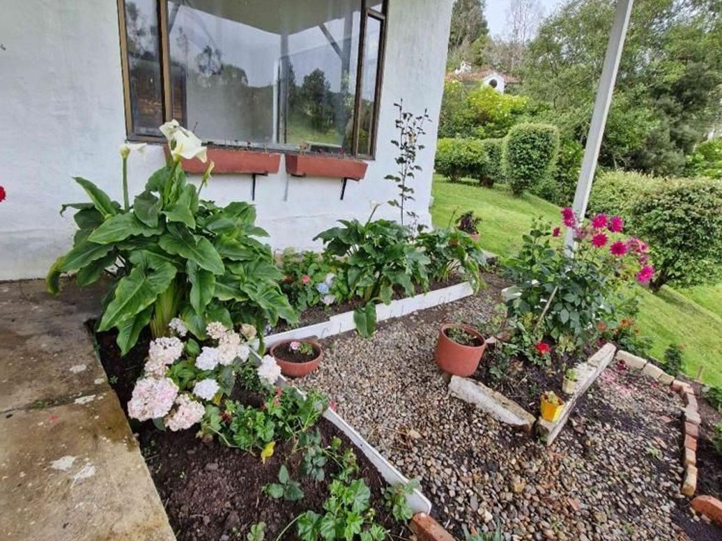 Casa de 5 alcobas en venta en San Isidro, Bogotá, 430 m² · foto 6 de 20