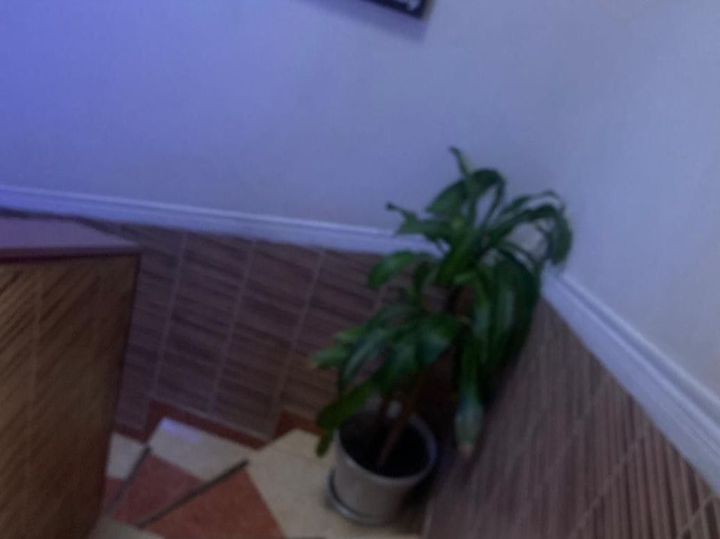 Casa de 6 alcobas en venta en Super Manzana 8, Bogotá, 240 m² · foto 20 de 20