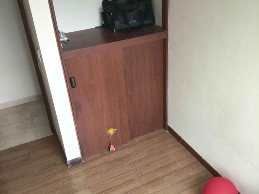 Apartamento de 3 alcobas en venta en San Cristobal Norte, Bogotá, 51 m² · foto 7 de 19