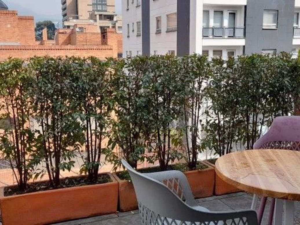 Apartamento de 3 alcobas en venta en Santa Bibiana, Bogotá, 144 m² · foto 11 de 20