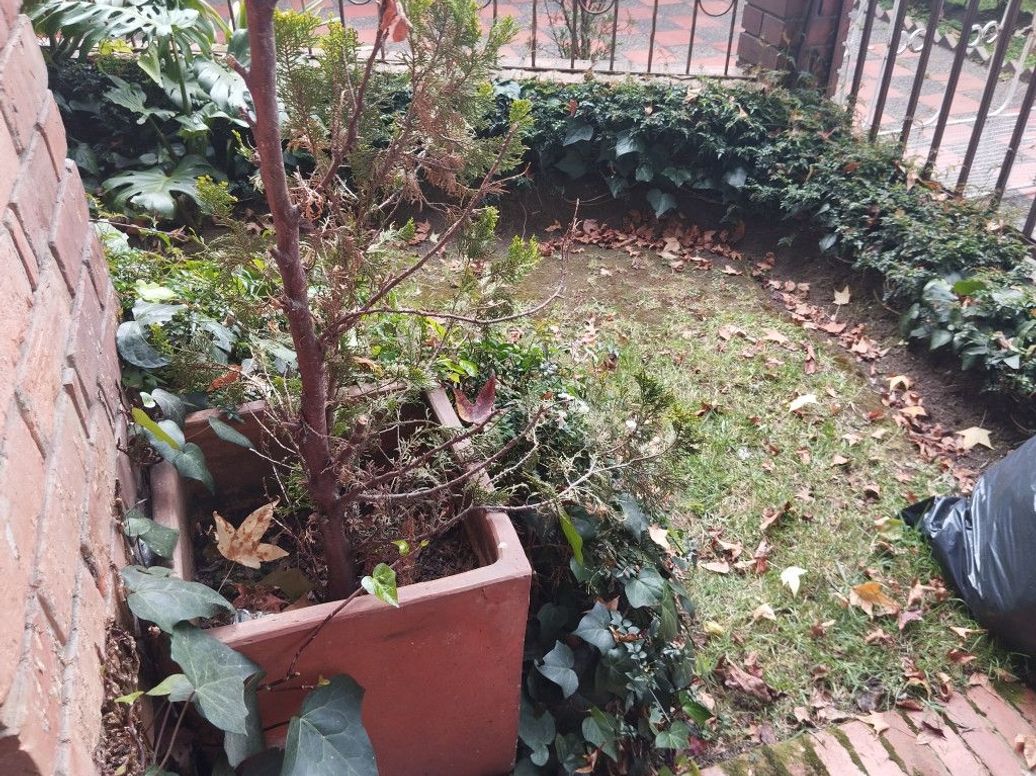 Casa de 7 alcobas en venta en Quinta Camacho, Bogotá, 252 m² · foto 5 de 17