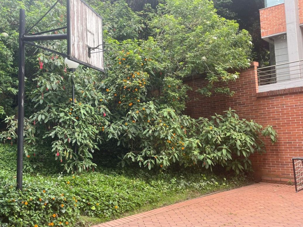Apartamento de 3 alcobas en venta en Los Rosales, Bogotá, 243 m² · foto 15 de 19