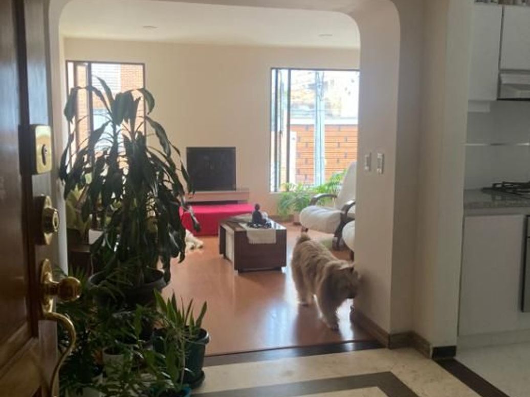 Apartamento de 3 alcobas en venta en Chicó Norte, Bogotá, 103 m² · foto 12 de 13