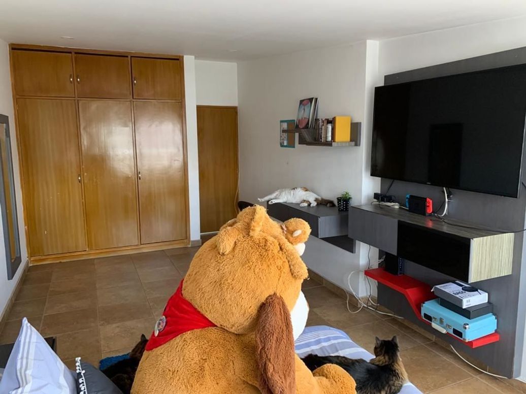 Casa de 4 alcobas en venta en San Nicolás, Bogotá, 490 m² · foto 3 de 20